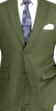 Astro Collection: Olive 2 Piece Windowpane Single Breasted Modern Fit Suit