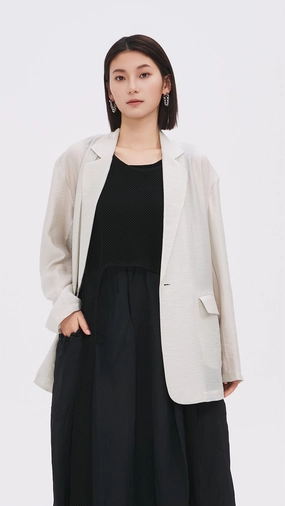 Sheer Fabric Blazer